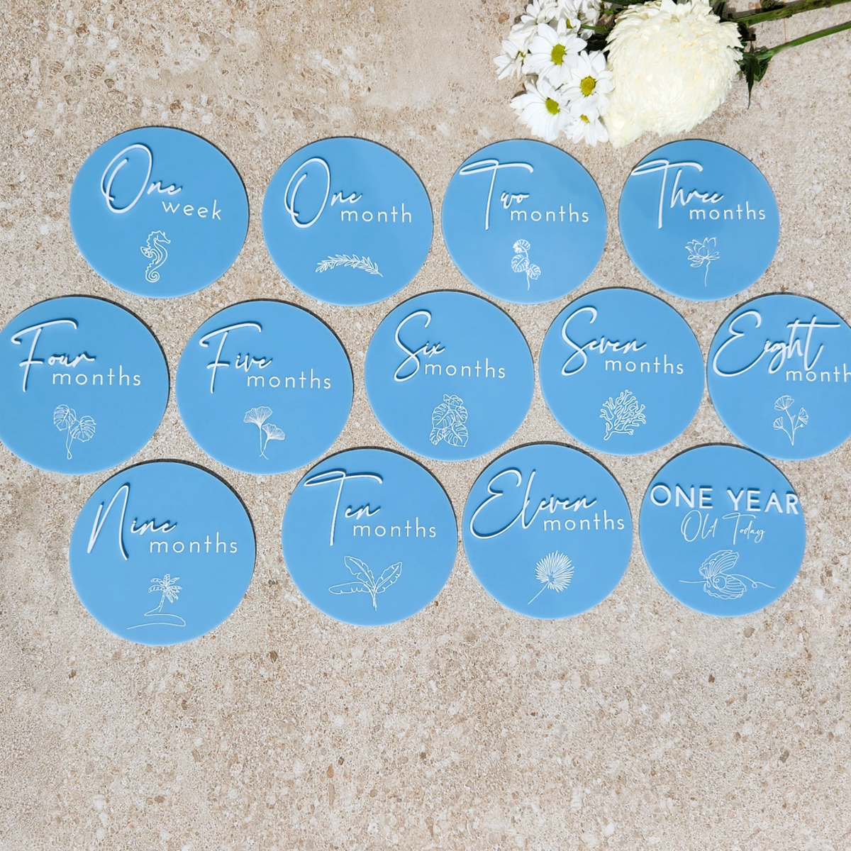 Baby Milestone Plaques Full Set