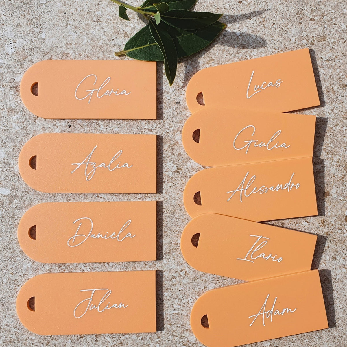 Luggage Tag Name Placements