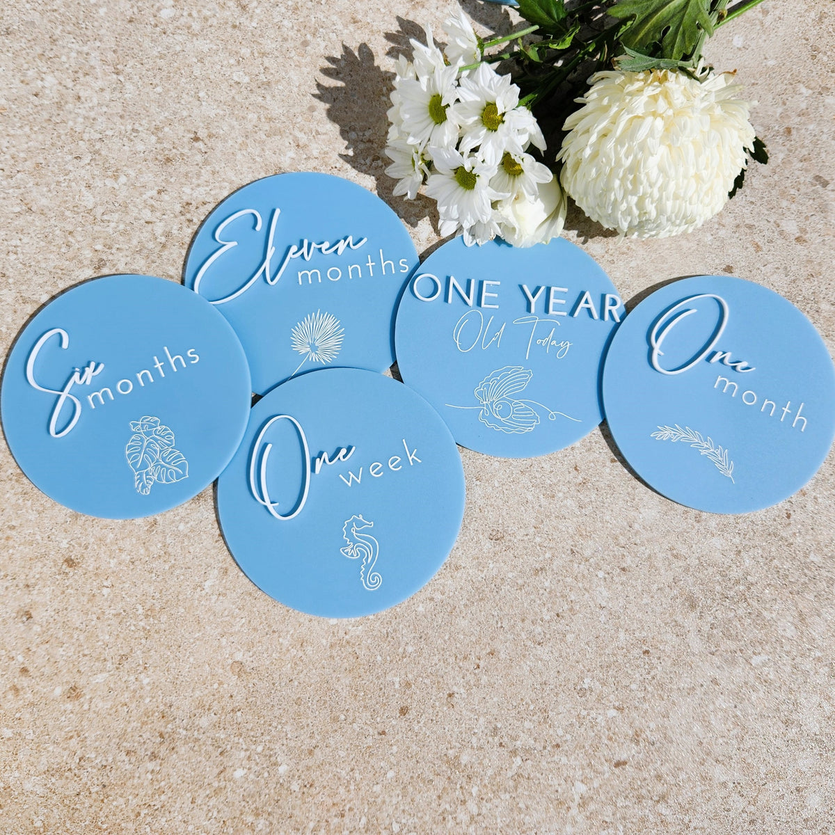 Baby Milestone Plaques Full Set