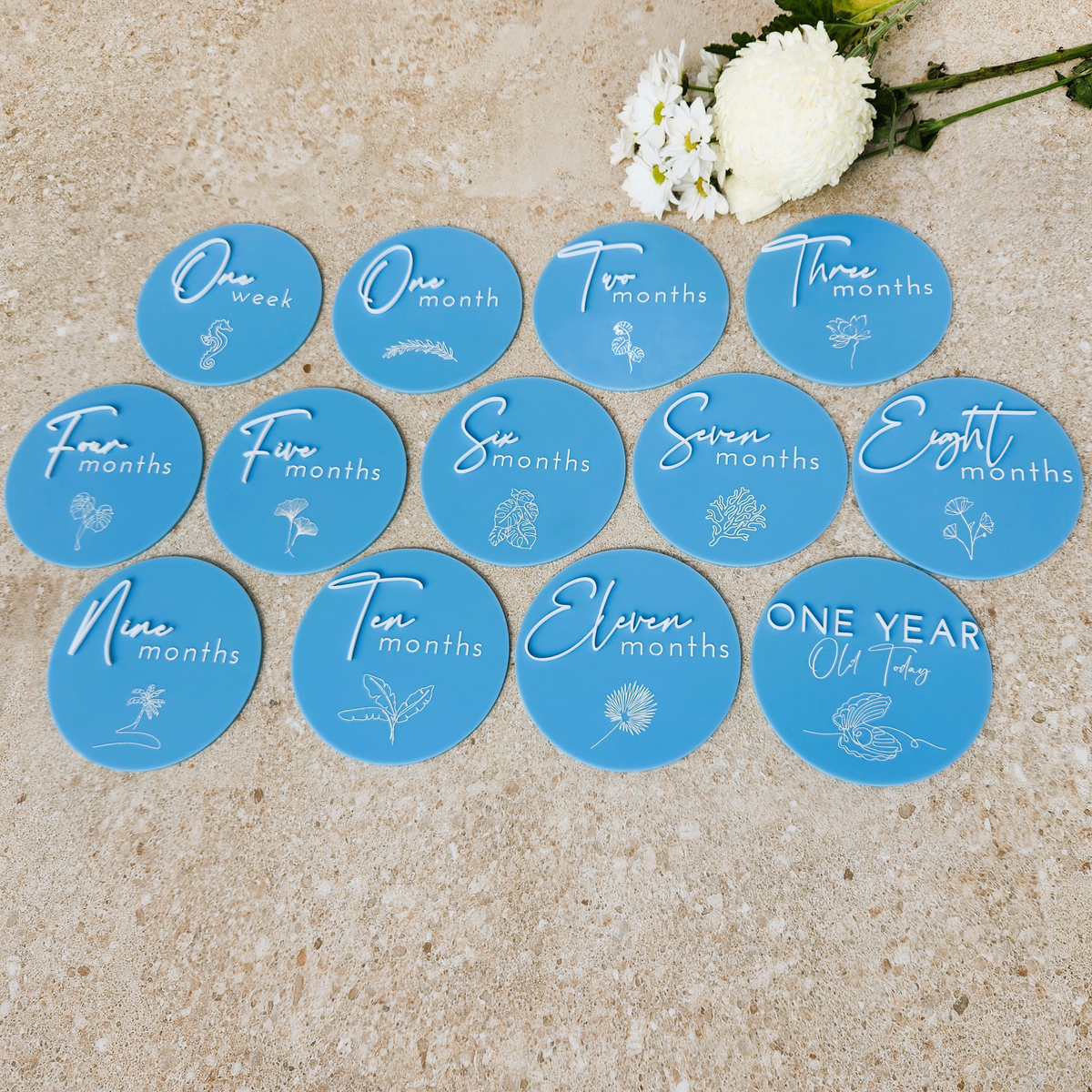 Baby Milestone Plaques Full Set